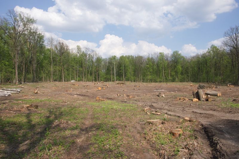 Acreage Clearing in Atlanta, GA