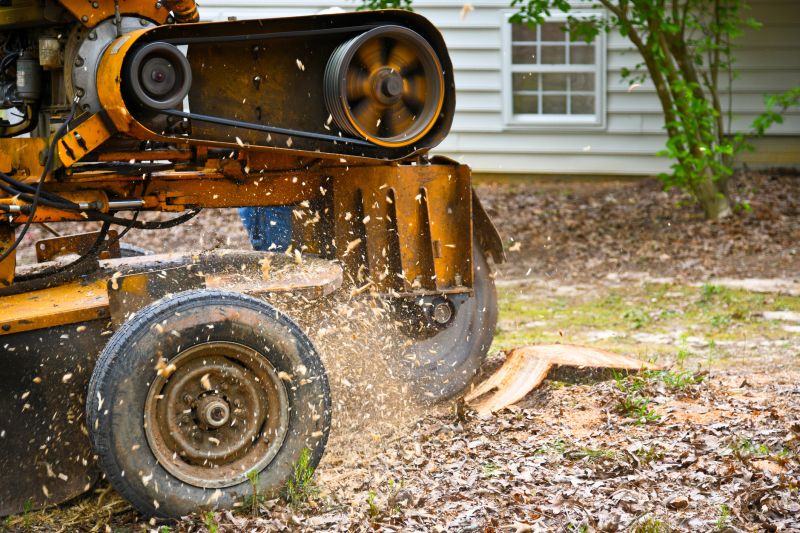 Contact About Tree Stump Grinding