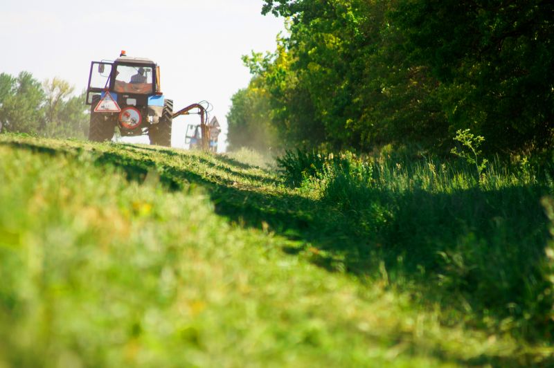 Brush Clearing Service in Houston, TX