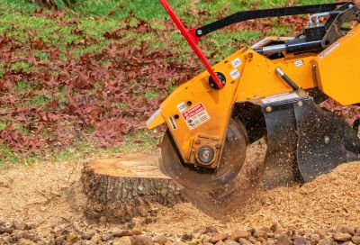 Commercial Stump Grinding in Bucks County, PA