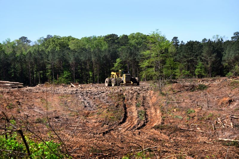 Land Preparation Service in Katy, TX