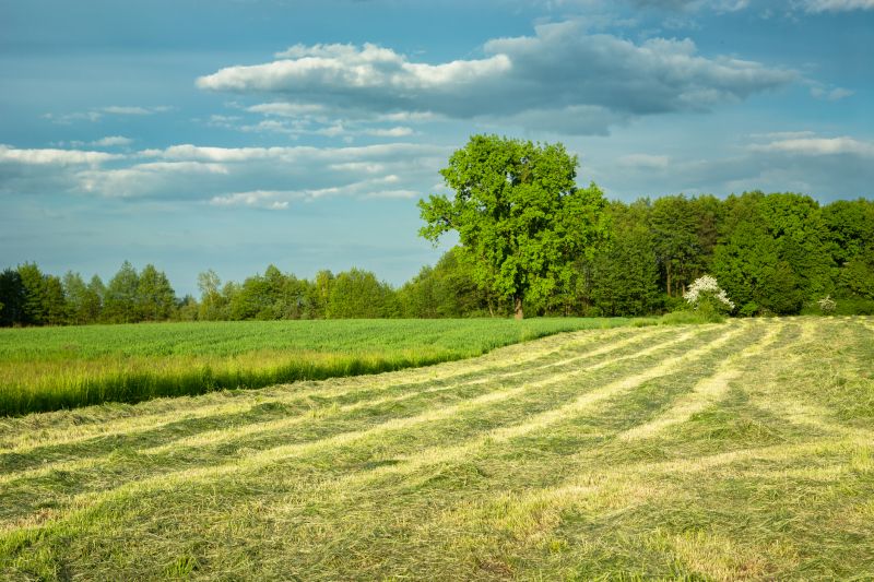 Site Cleaning in Atlanta, GA