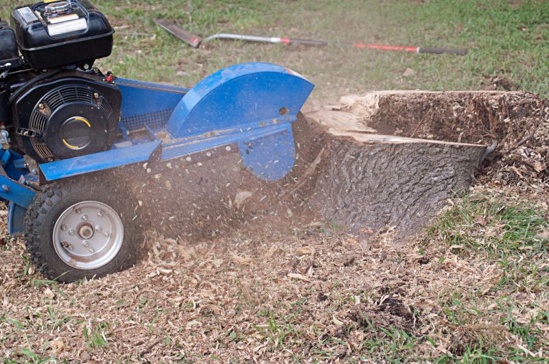 Stump Cutting in Prince Georges County, MD