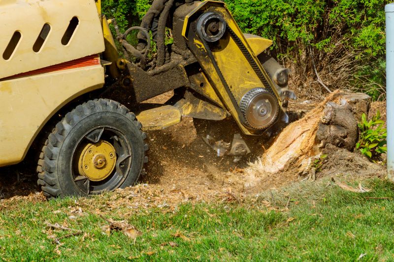 Stump Grinding Service in Prince Georges County, MD