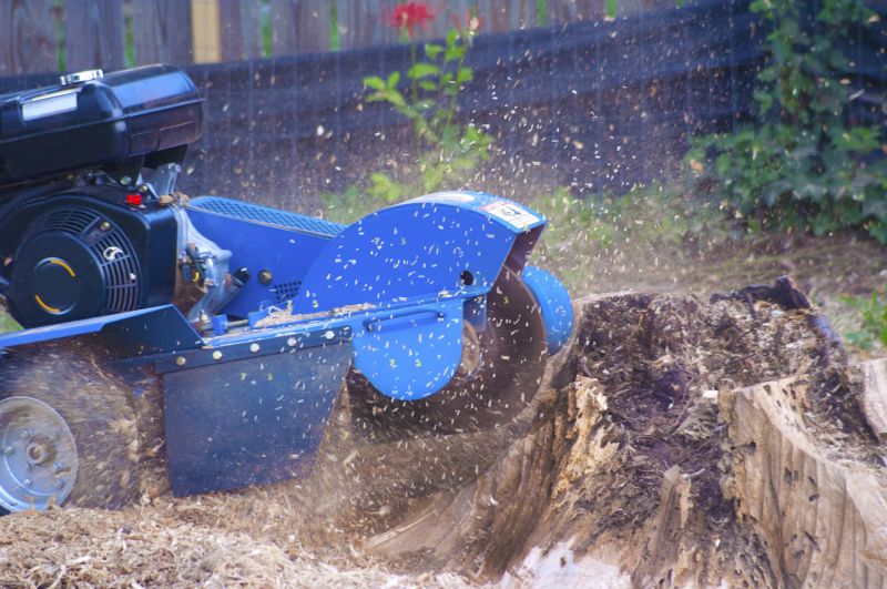 Tree Root Grinding in Prince Georges County, MD
