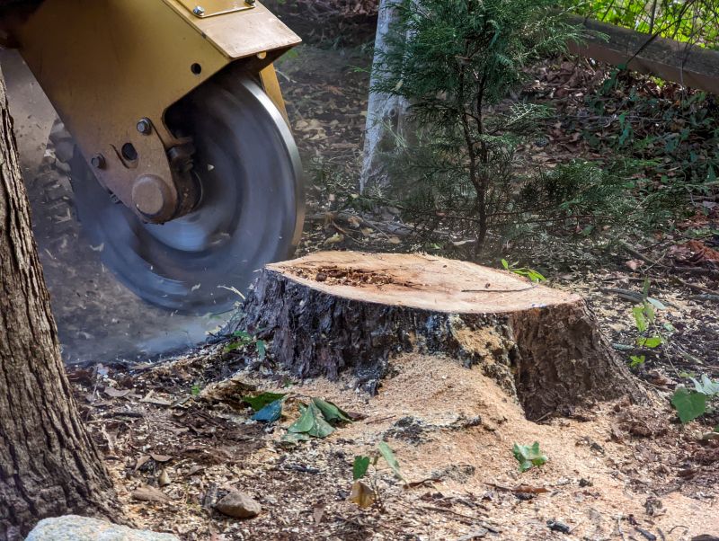 Tree Stump Grinding