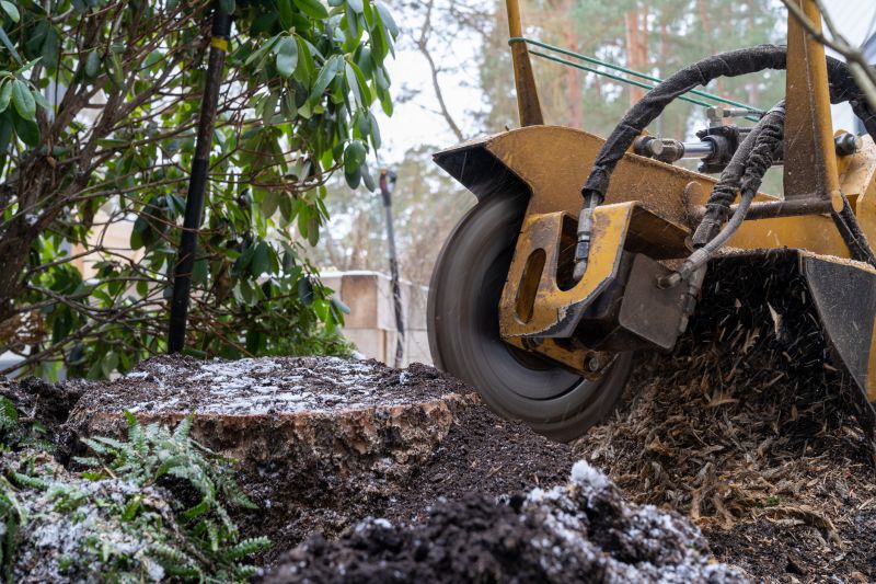 Tree Stump Grinding