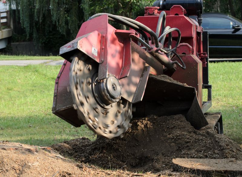Tree Stump Grinding