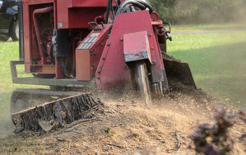 Tree Stump Grinding
