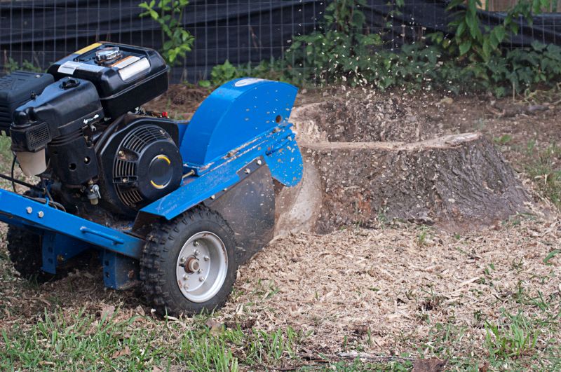 Tree Stump Grinding