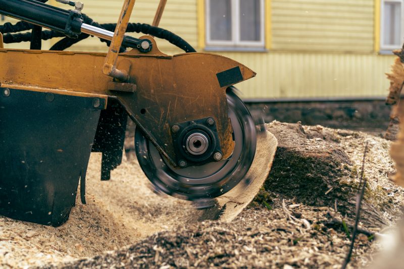 Stump Grinding Machine in Action