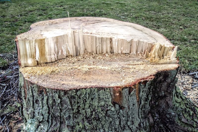 Completed Stump Removal