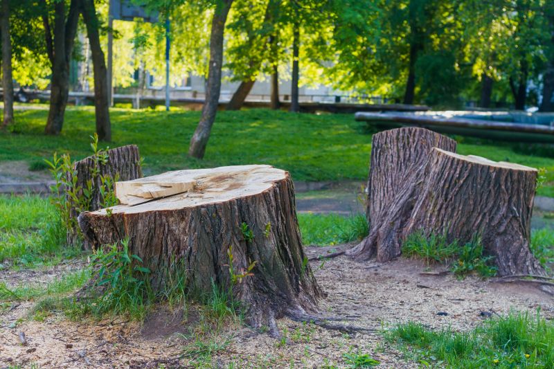 Tree Trunk Removal in Prince Georges County, MD